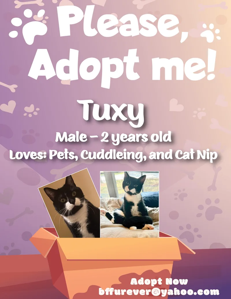 Tuxy thumbnail 5