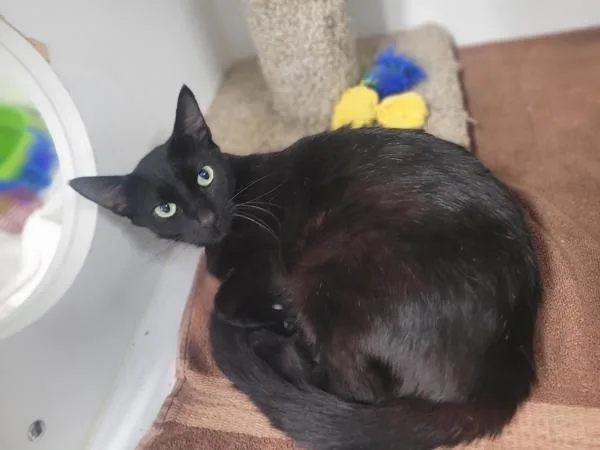 Luna