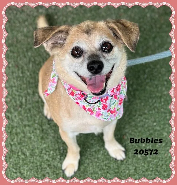 Bubbles thumbnail 2