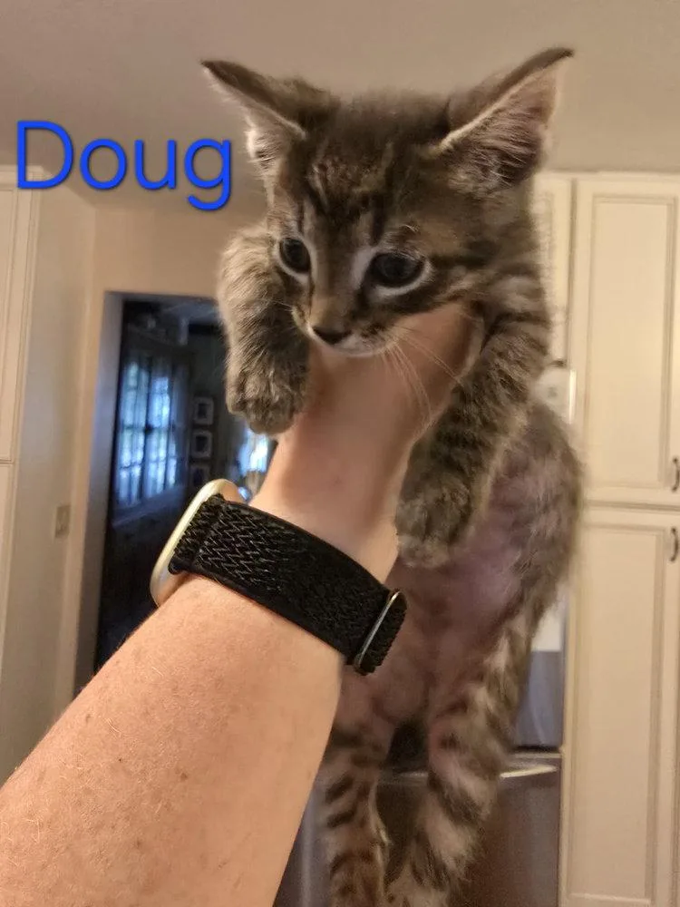 Doug thumbnail 3