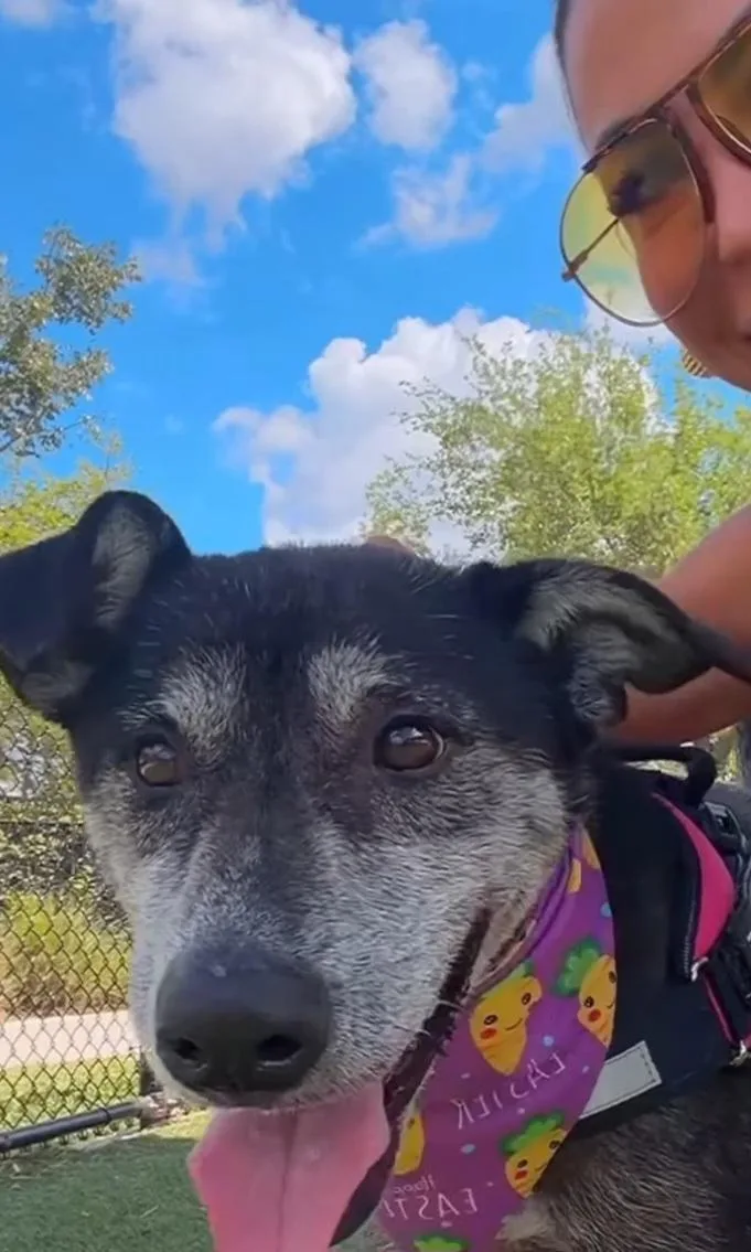 Estrella thumbnail 5