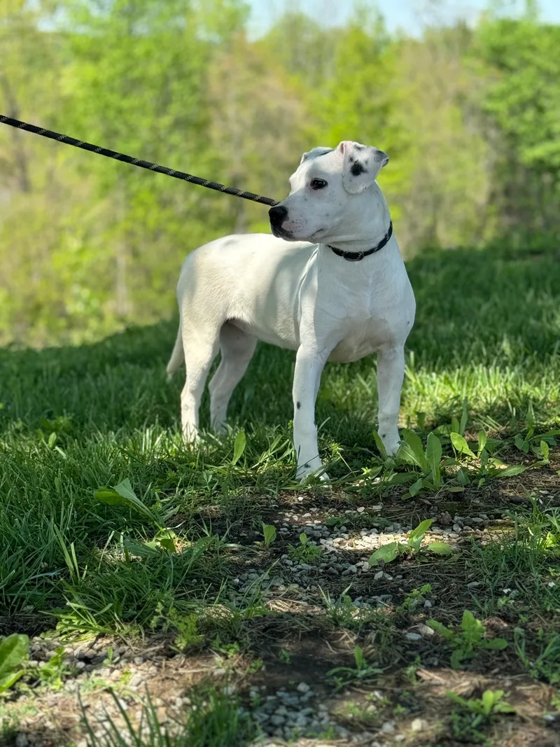 Baby Doll thumbnail 2