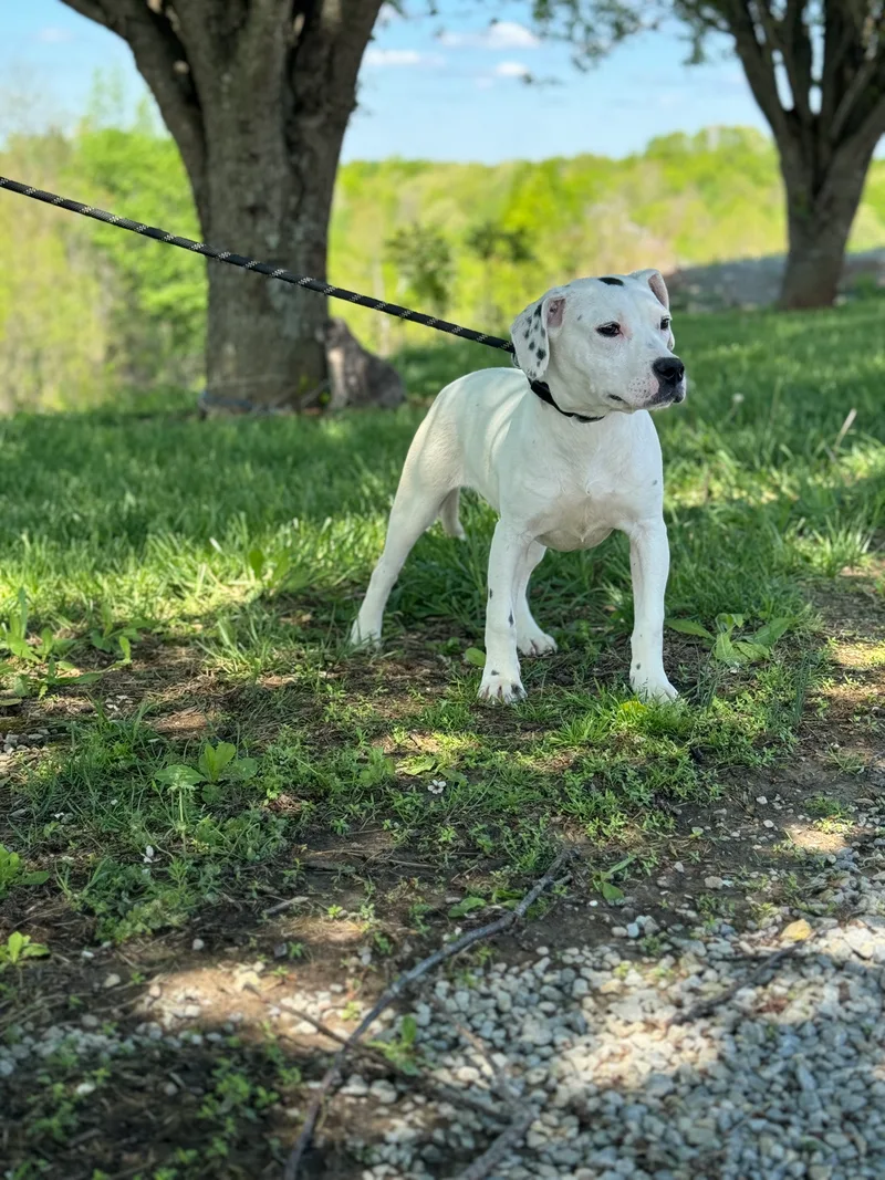 Baby Doll thumbnail 4