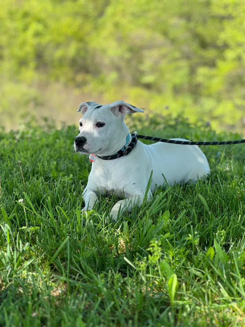 Baby Doll thumbnail 6