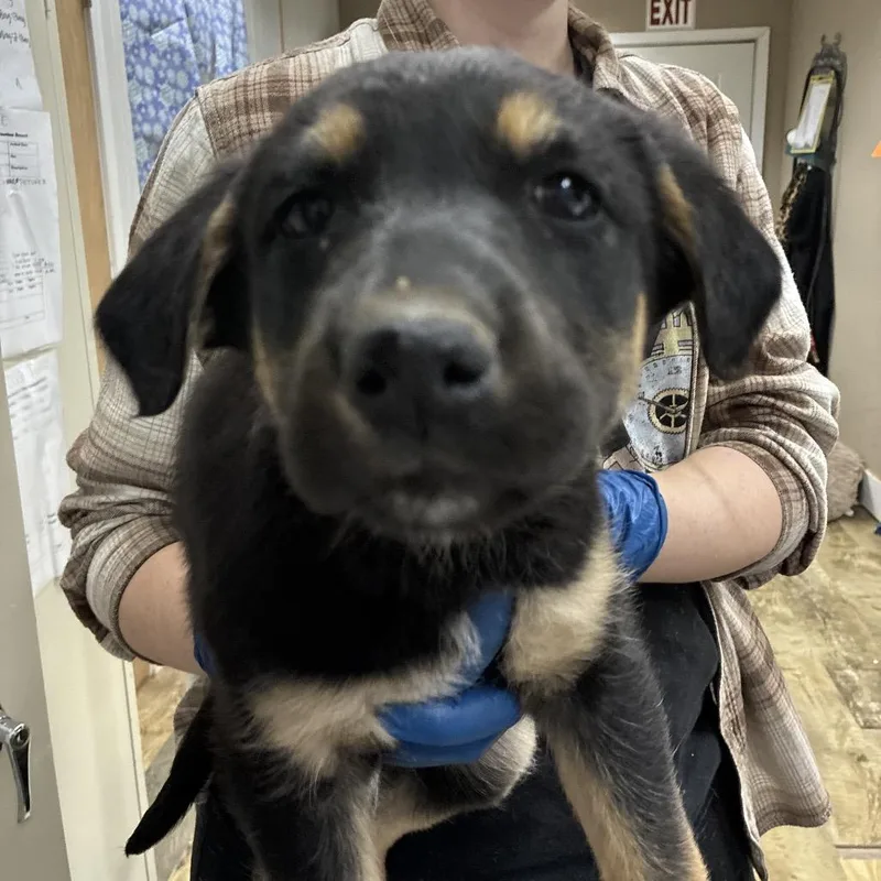 Ct Holdin thumbnail 3