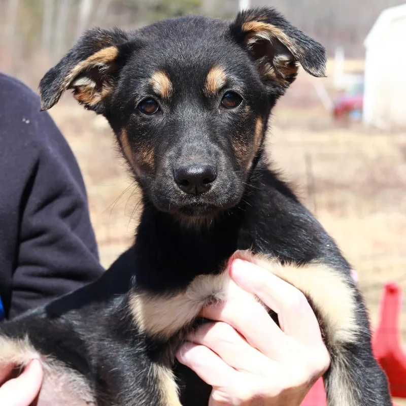 Ct Holdin thumbnail 5