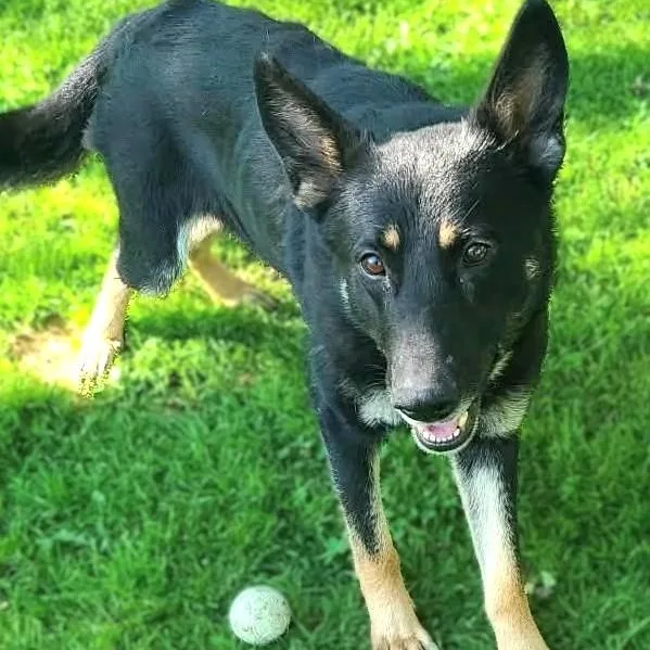 Saskia thumbnail 3