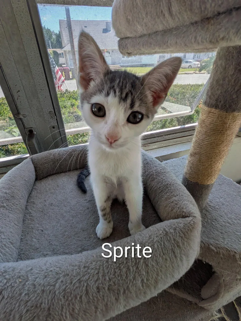 Sprite thumbnail 3