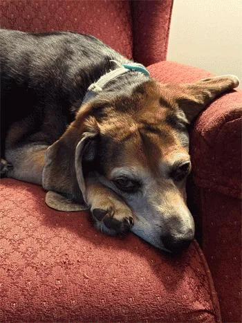 Sebastian thumbnail 2