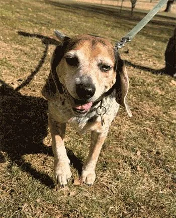 Sebastian thumbnail 3