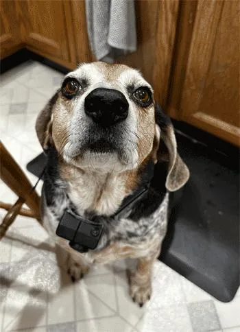 Sebastian thumbnail 5