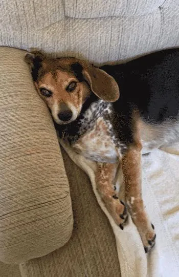 Sebastian thumbnail 6