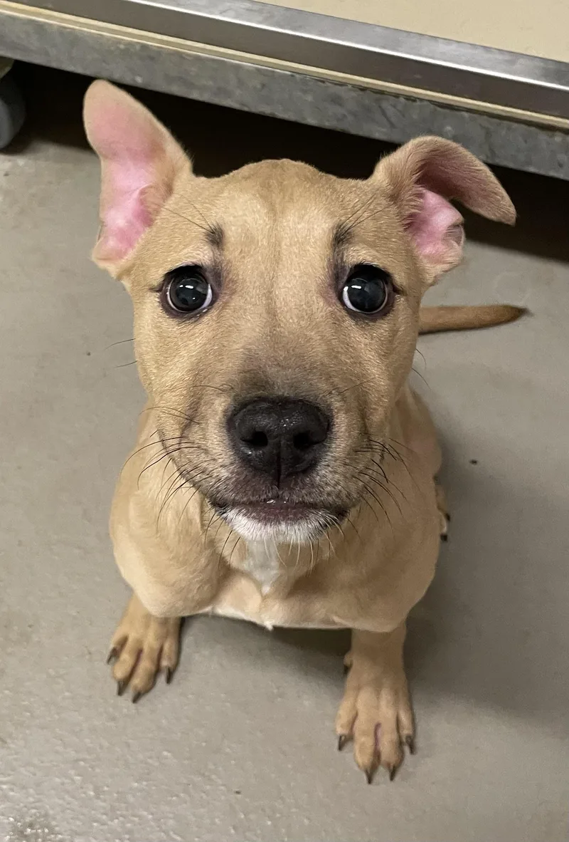 Destinee Hold thumbnail 2