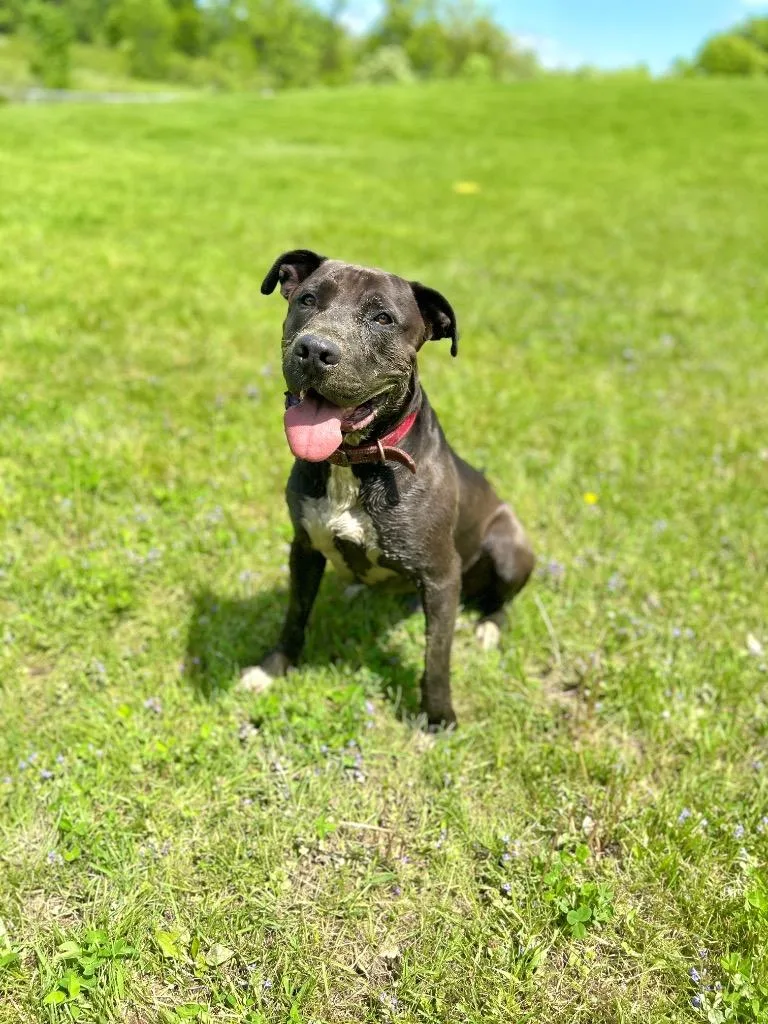 Zeus