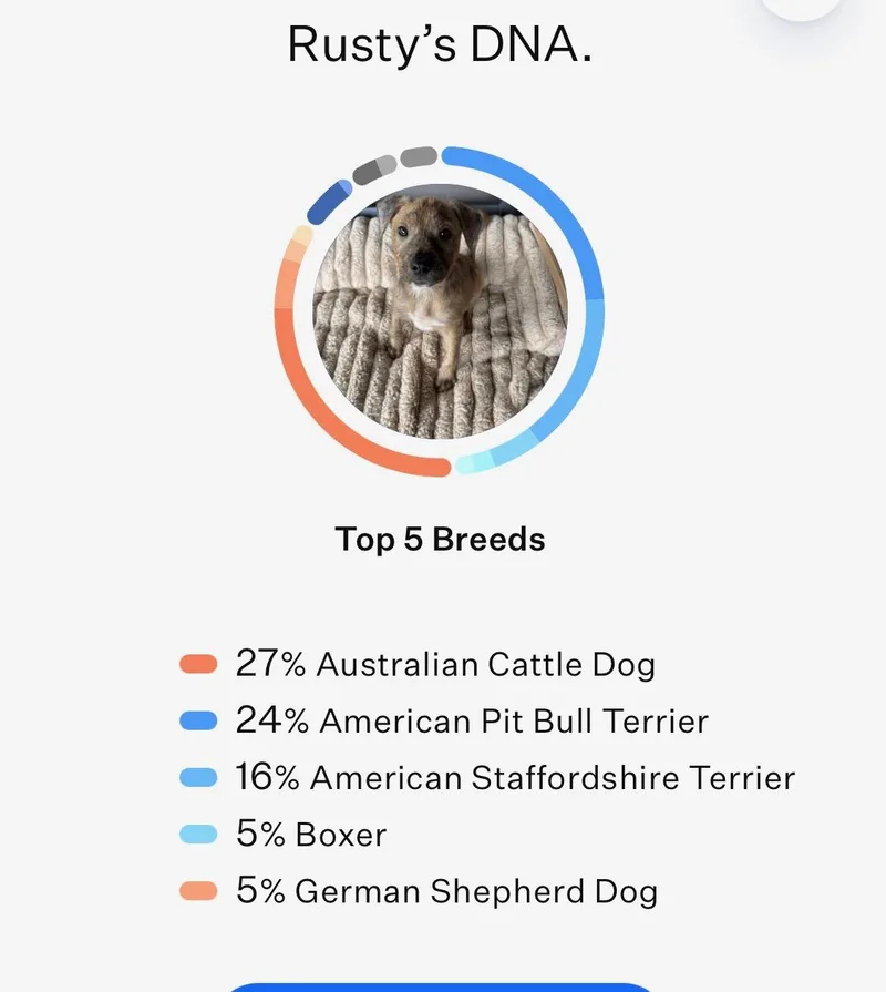 Little Rusty thumbnail 5