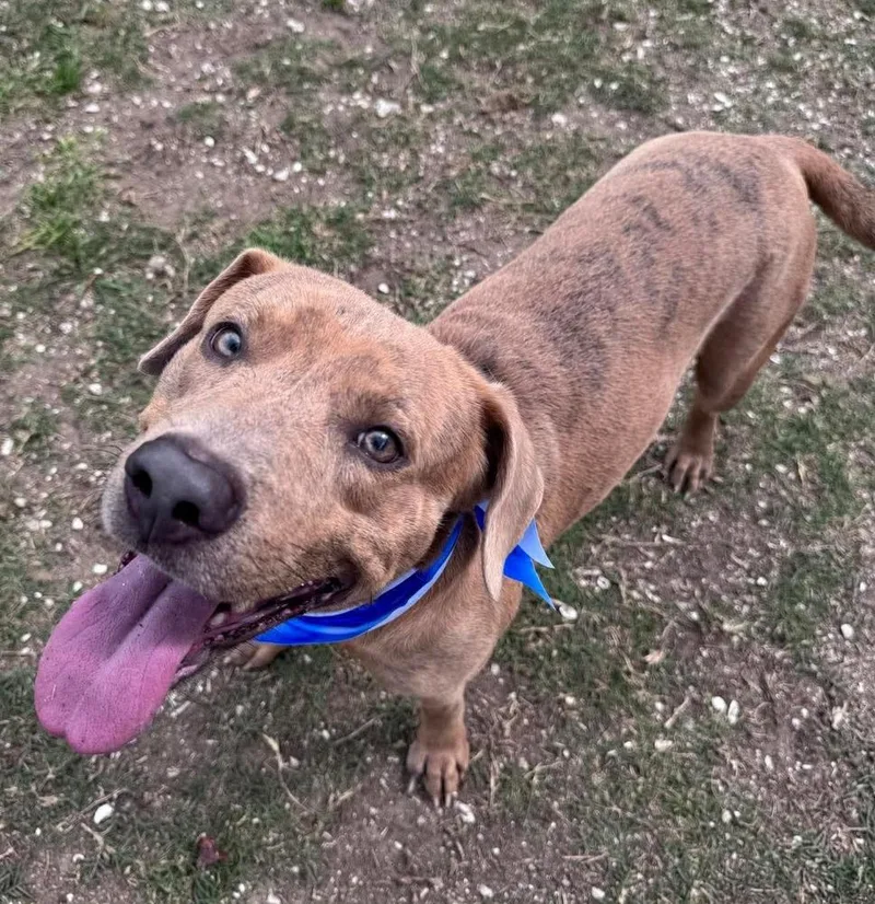 Friday A thumbnail 2