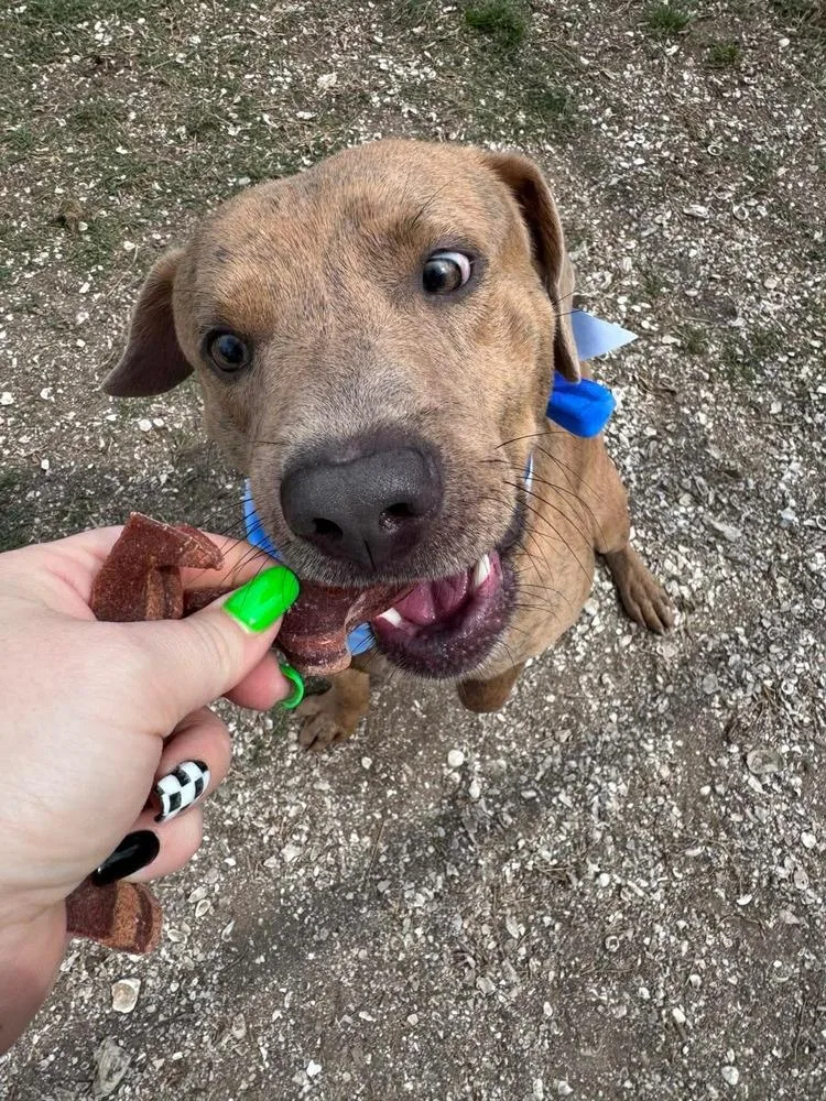 Friday A thumbnail 3