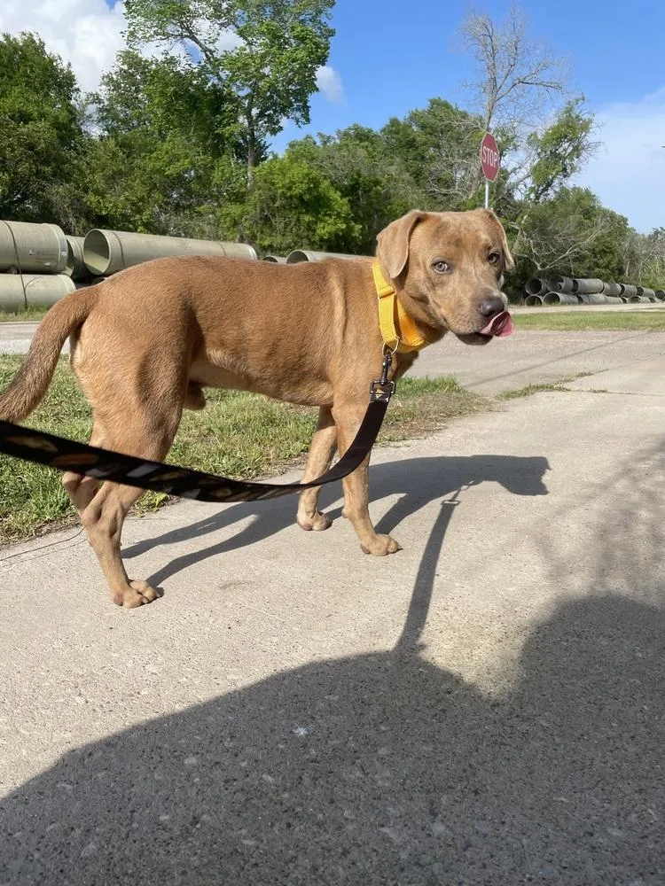 Friday A thumbnail 5