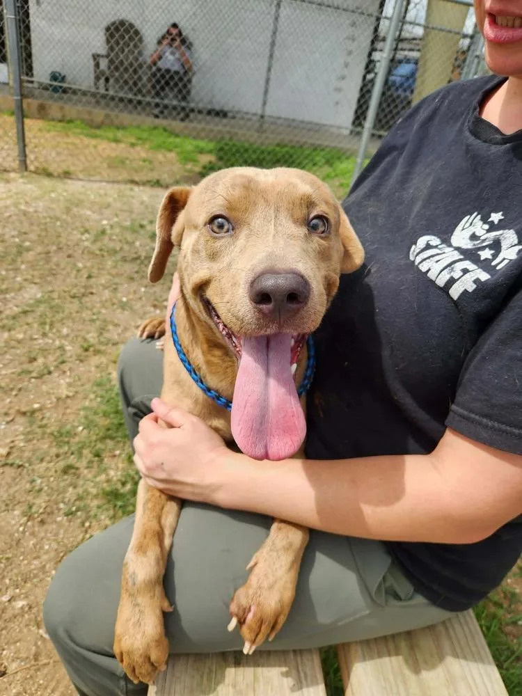 Friday A thumbnail 6