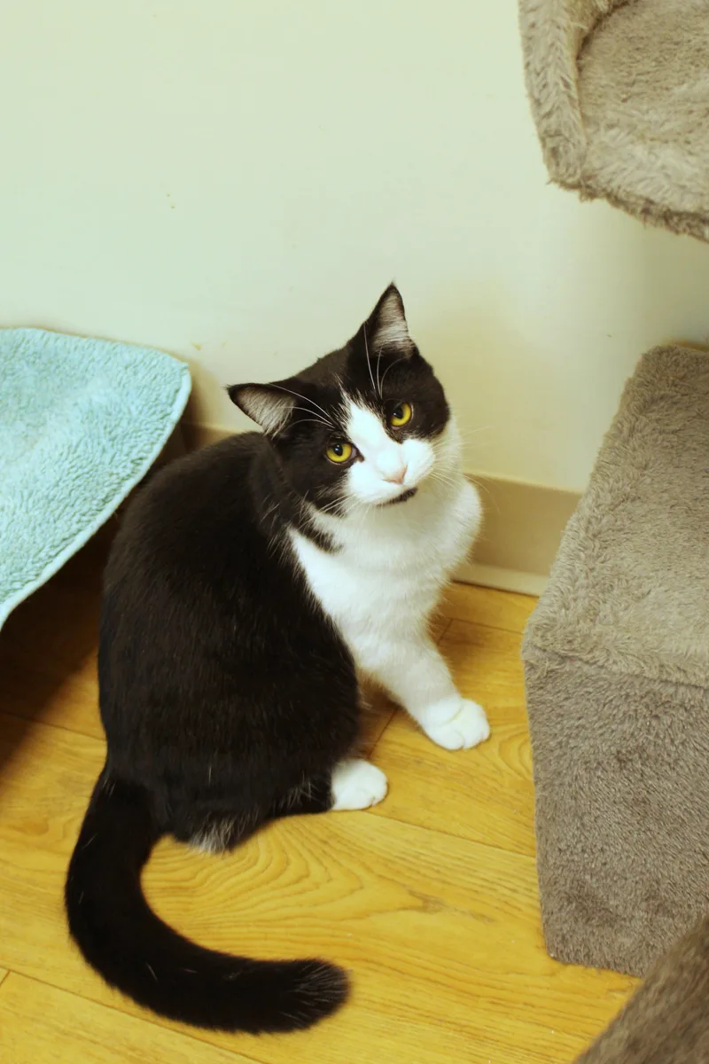 Abbie thumbnail 4