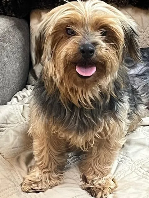 Marley