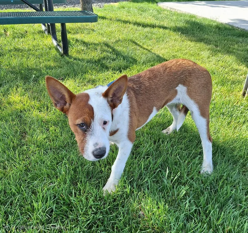 Hailly Wat thumbnail 3