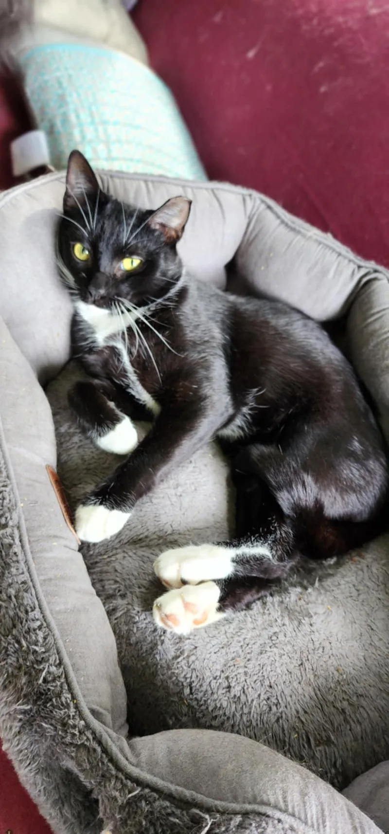 Scratch Post thumbnail 2