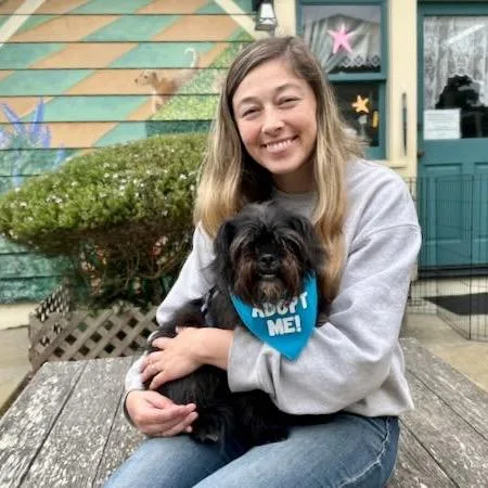 An adult small-sized male Black Shih Tzu dog named Mako for adoption in Pacific Grove, CA