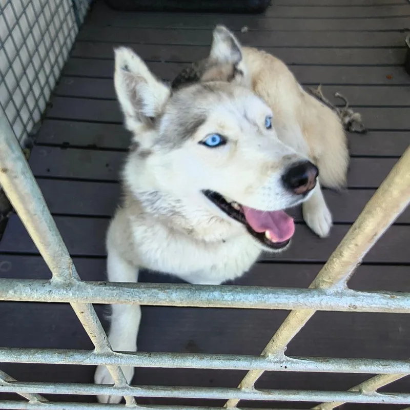 Luna