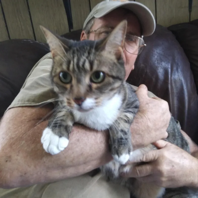 Newman