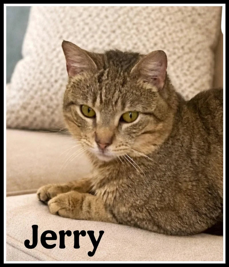Jerrywillow Grove thumbnail 2