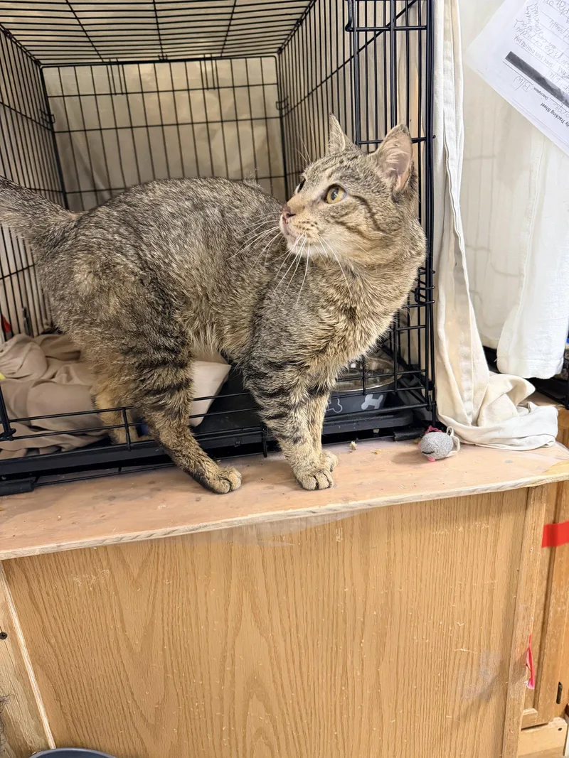 Jerrywillow Grove thumbnail 3