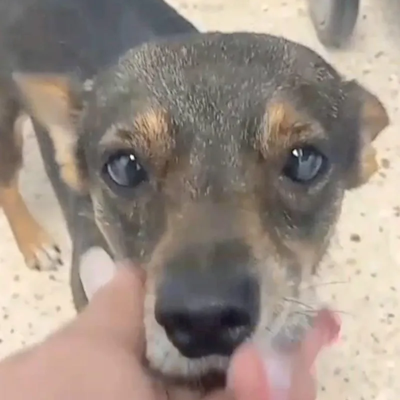 Nina Sunshine "a Doll!"