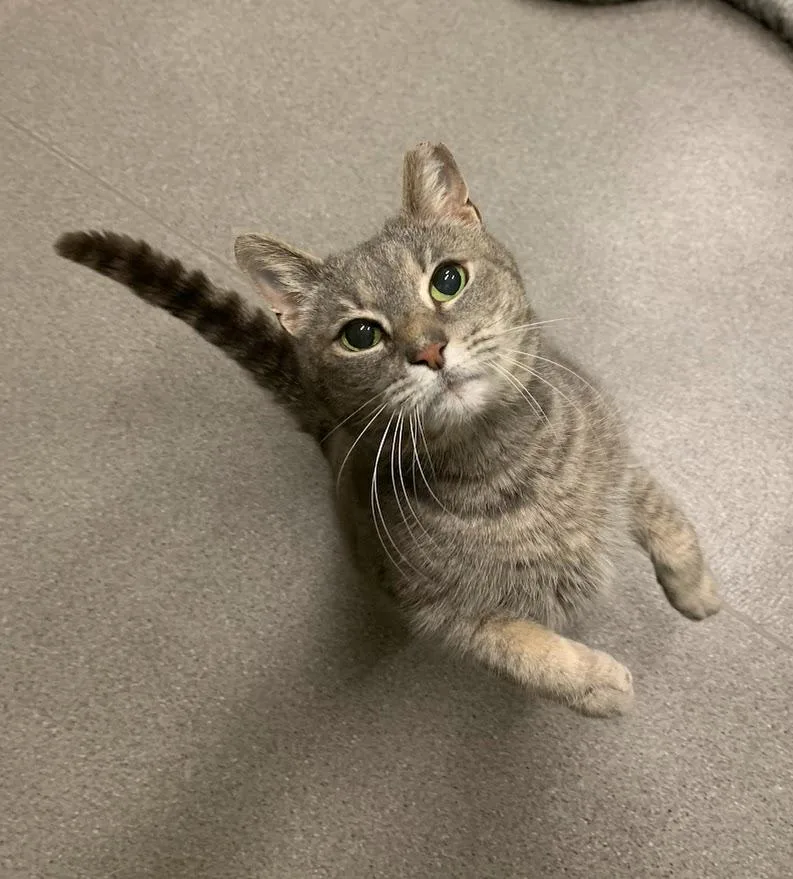 Laura Biagiotti thumbnail 2