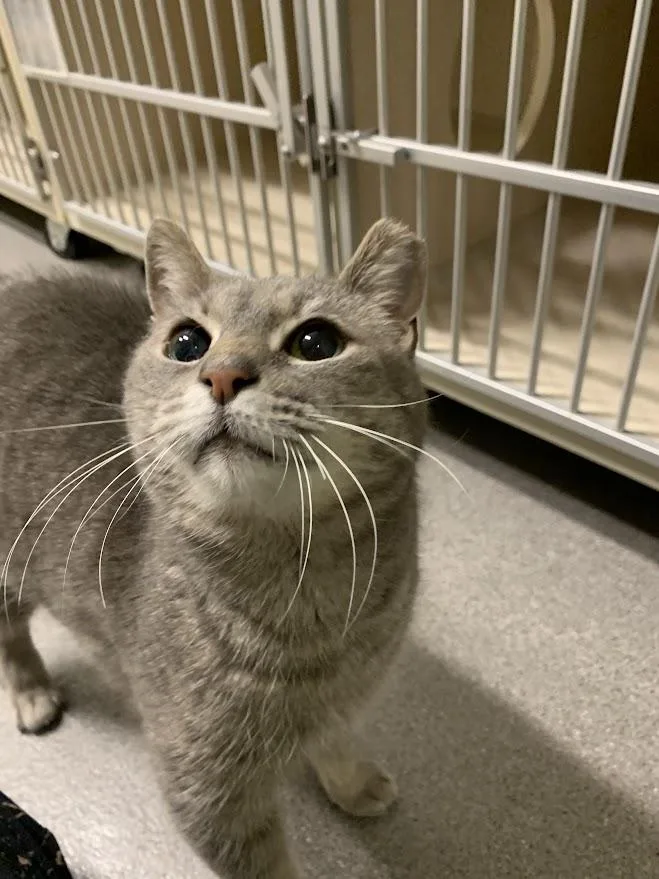 Laura Biagiotti thumbnail 3