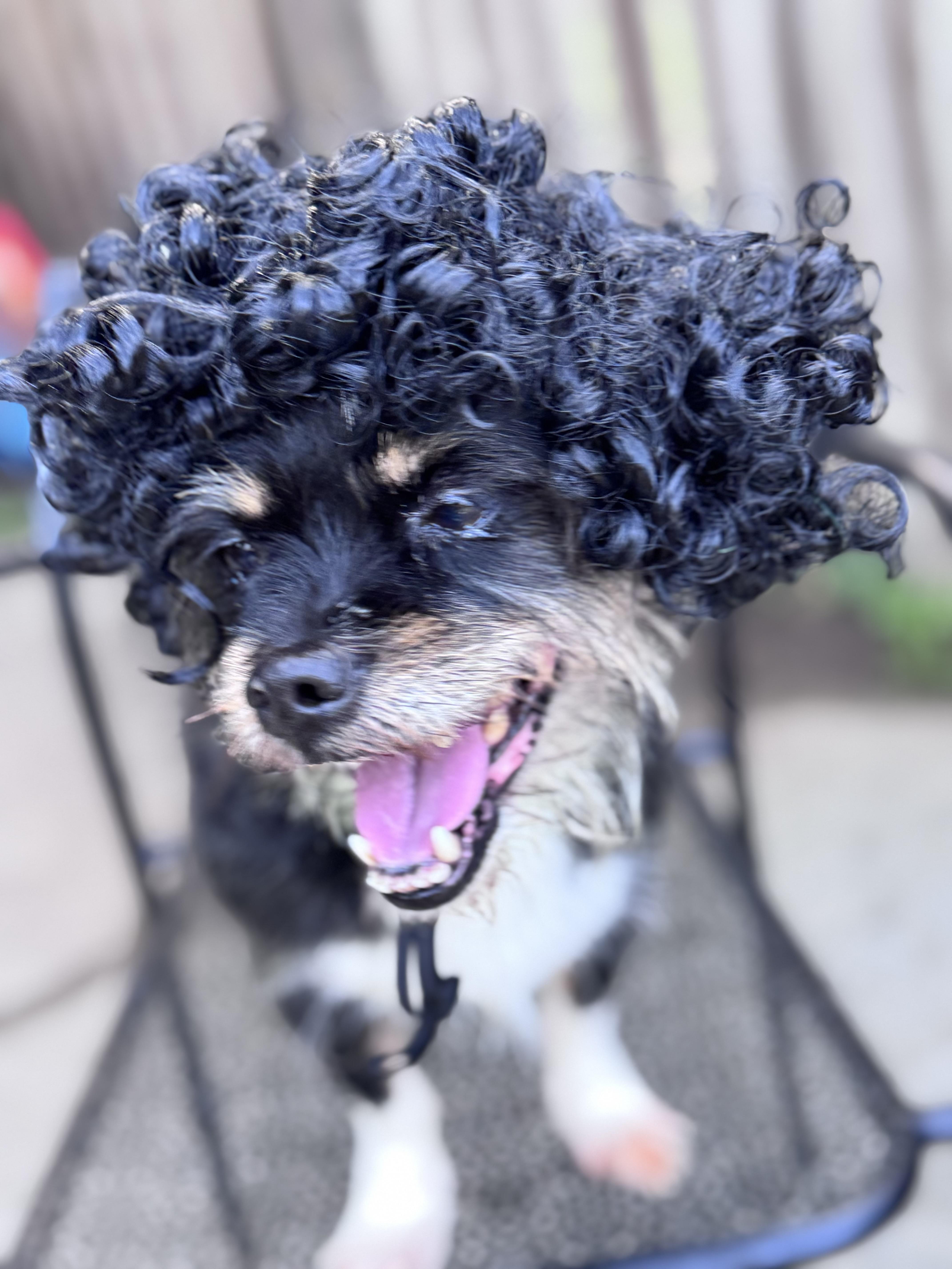 Rick James