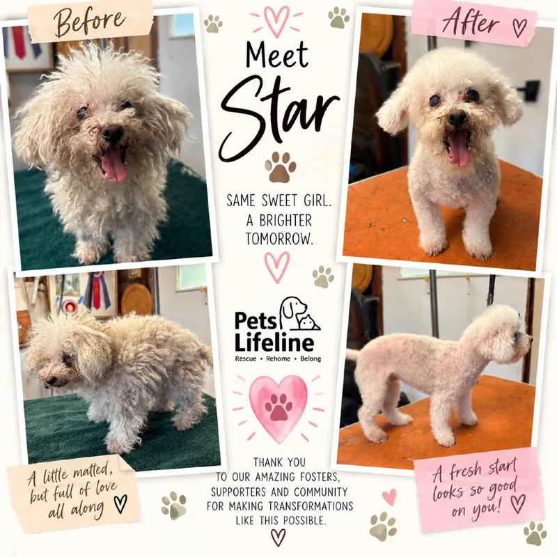 Star thumbnail 5
