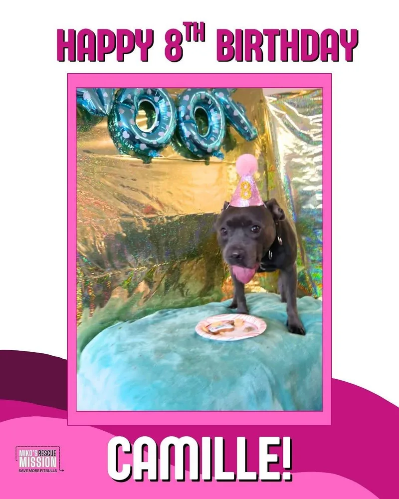 Camille thumbnail 2