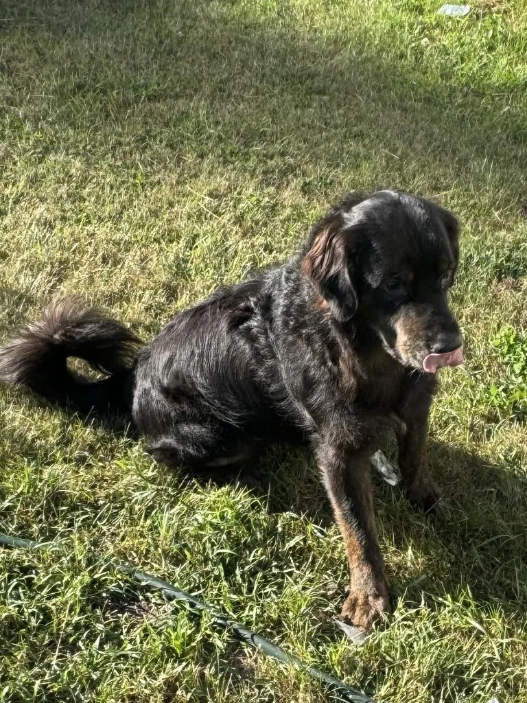 Zack Courtesy Listing