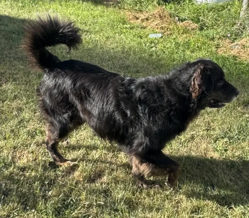 Zack Courtesy Listing thumbnail 2