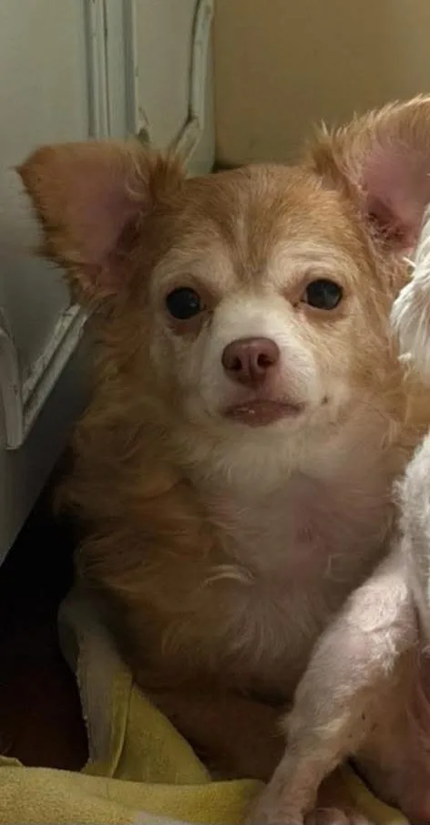 Charlie