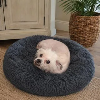 Penny