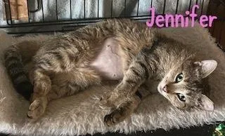 Jennifer thumbnail 2