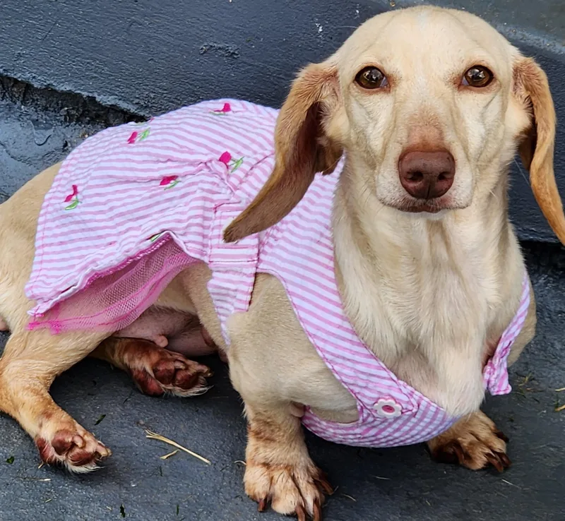 Luna In Ky thumbnail 2