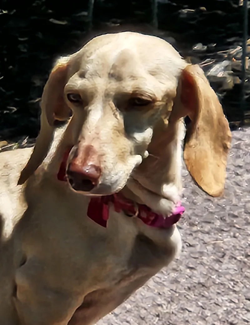 Luna In Ky thumbnail 5