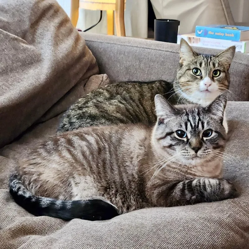 Fletcher thumbnail 2