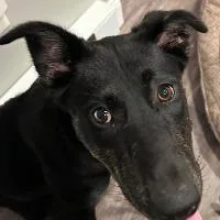 Maggie thumbnail 2