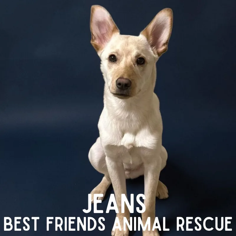 Jeans thumbnail 2