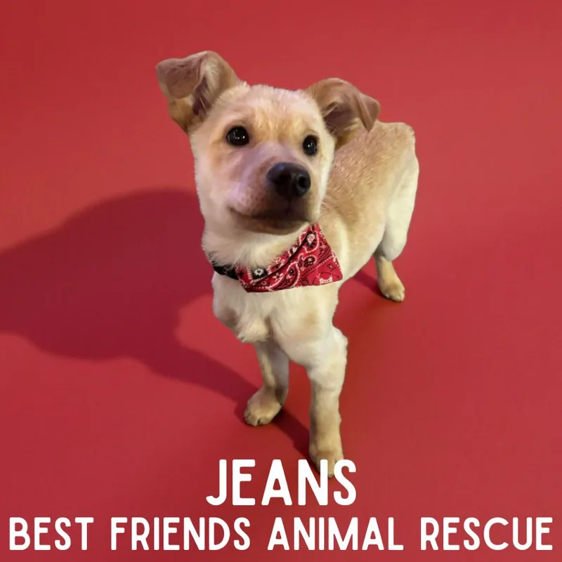Jeans thumbnail 5