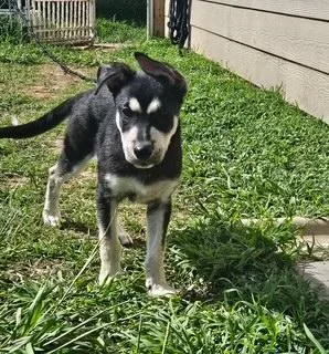 The Difference Between Recognition thumbnail 2